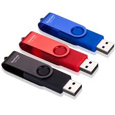 Flash drives for thermography image storage
